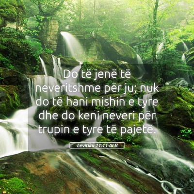 Picture 05 - Levitiku 11:11 ALB - Do të jenë të neveritshme për ju; nuk do të - Bible Verse Picture
