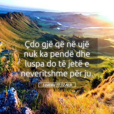Picture 05 - Levitiku 11:12 ALB - Çdo gjë që në ujë nuk ka pendë dhe luspa do - Bible Verse Picture