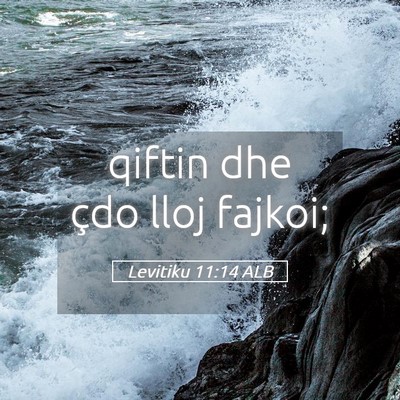 Picture 05 - Levitiku 11:14 ALB - qiftin dhe çdo lloj - Bible Verse Picture