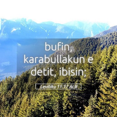 Picture 05 - Levitiku 11:17 ALB - bufin, karabullakun e detit, - Bible Verse Picture