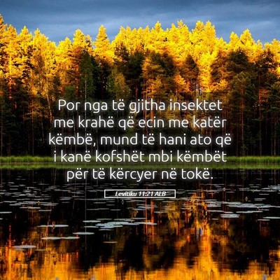 Picture 05 - Levitiku 11:21 ALB - Por nga të gjitha insektet me krahë që ecin me - Bible Verse Picture