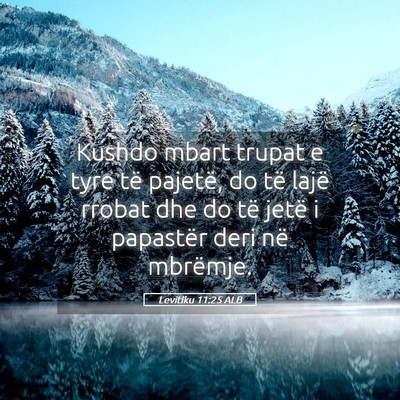 Picture 05 - Levitiku 11:25 ALB - Kushdo mbart trupat e tyre të pajetë, do të - Bible Verse Picture