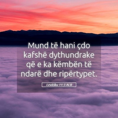 Picture 05 - Levitiku 11:3 ALB - Mund të hani çdo kafshë dythundrake që e ka - Bible Verse Picture