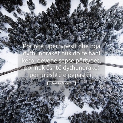 Picture 05 - Levitiku 11:4 ALB - Por nga ripërtypësit dhe nga dythundrakët nuk - Bible Verse Picture