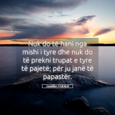 Picture 05 - Levitiku 11:8 ALB - Nuk do të hani nga mishi i tyre dhe nuk do të - Bible Verse Picture