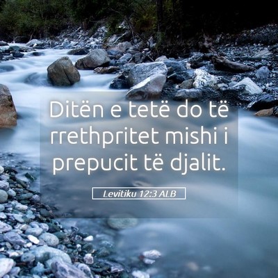 Picture 05 - Levitiku 12:3 ALB - Ditën e tetë do të rrethpritet mishi i - Bible Verse Picture