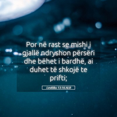 Picture 05 - Levitiku 13:16 ALB - Por në rast se mishi i gjallë ndryshon - Bible Verse Picture