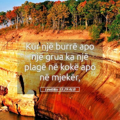 Picture 05 - Levitiku 13:29 ALB - Kur një burrë apo një grua ka një plagë në - Bible Verse Picture