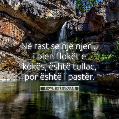 Picture 05 - Levitiku 13:40 ALB - Në rast se një njeriu i bien flokët e kokës, - Bible Verse Picture
