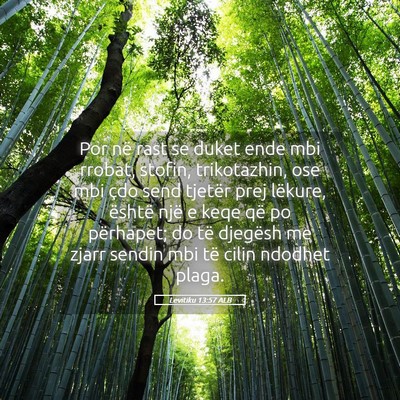 Picture 05 - Levitiku 13:57 ALB - Por në rast se duket ende mbi rrobat, stofin, - Bible Verse Picture