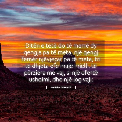 Picture 05 - Levitiku 14:10 ALB - Ditën e tetë do të marrë dy qengja pa të - Bible Verse Picture