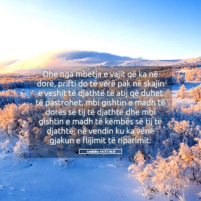 Picture 05 - Levitiku 14:17 ALB - Dhe nga mbetja e vajit që ka në dorë, prifti - Bible Verse Picture