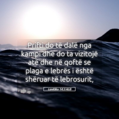 Picture 05 - Levitiku 14:3 ALB - Prifti do të dalë nga kampi dhe do ta vizitojë - Bible Verse Picture