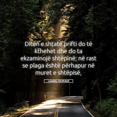Picture 05 - Levitiku 14:39 ALB - Ditën e shtatë prifti do të kthehet dhe do ta - Bible Verse Picture