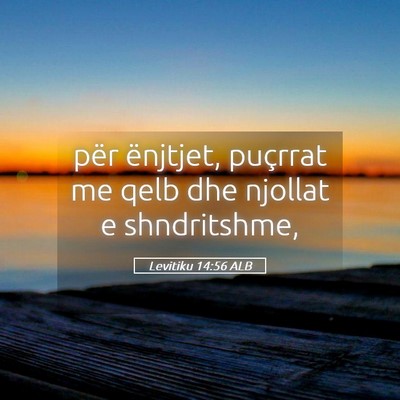 Picture 05 - Levitiku 14:56 ALB - për ënjtjet, puçrrat me qelb dhe njollat e - Bible Verse Picture