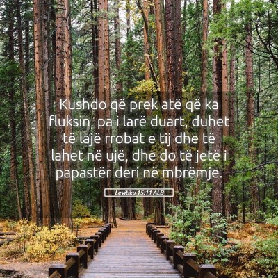 Picture 05 - Levitiku 15:11 ALB - Kushdo që prek atë që ka fluksin, pa i larë - Bible Verse Picture