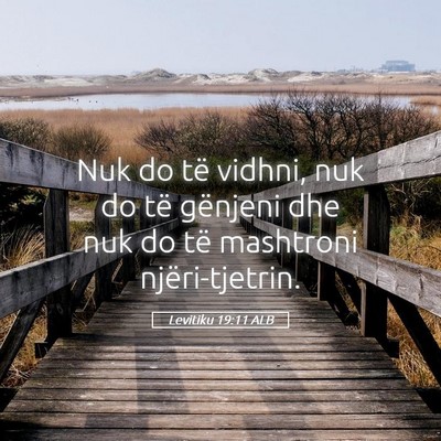 Picture 05 - Levitiku 19:11 ALB - Nuk do të vidhni, nuk do të gënjeni dhe nuk do - Bible Verse Picture