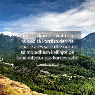 Picture 05 - Levitiku 19:9 ALB - Kur do të korrni tokat tuaja, nuk do të - Bible Verse Picture