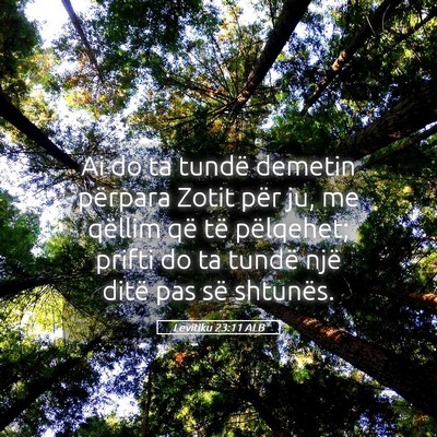 Picture 05 - Levitiku 23:11 ALB - Ai do ta tundë demetin përpara Zotit për ju, - Bible Verse Picture