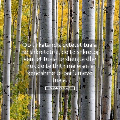 Picture 05 - Levitiku 26:31 ALB - Do t’i katandis qytetet tuaja në shkretëtira, - Bible Verse Picture