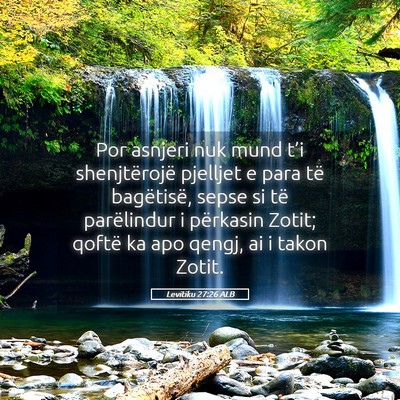 Picture 05 - Levitiku 27:26 ALB - Por asnjeri nuk mund t’i shenjtërojë pjelljet - Bible Verse Picture