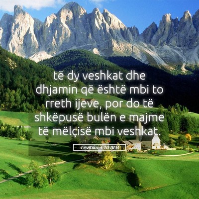 Picture 05 - Levitiku 3:10 ALB - të dy veshkat dhe dhjamin që është mbi to - Bible Verse Picture