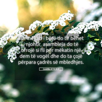 Picture 05 - Levitiku 4:14 ALB - kur mëkati i bërë do të bëhet i njohur, - Bible Verse Picture