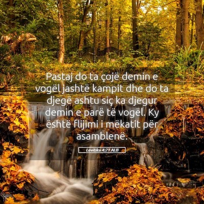 Picture 05 - Levitiku 4:21 ALB - Pastaj do ta çojë demin e vogël jashtë kampit - Bible Verse Picture
