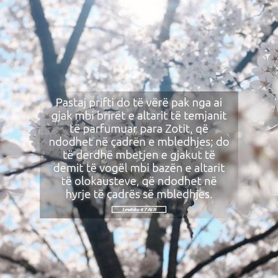 Picture 05 - Levitiku 4:7 ALB - Pastaj prifti do të vërë pak nga ai gjak mbi - Bible Verse Picture