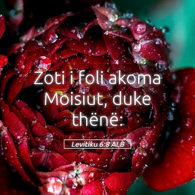 Picture 05 - Levitiku 6:8 ALB - Zoti i foli akoma Moisiut, duke - Bible Verse Picture