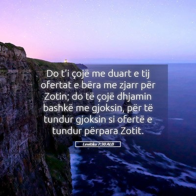 Picture 05 - Levitiku 7:30 ALB - Do t’i çojë me duart e tij ofertat e bëra me - Bible Verse Picture