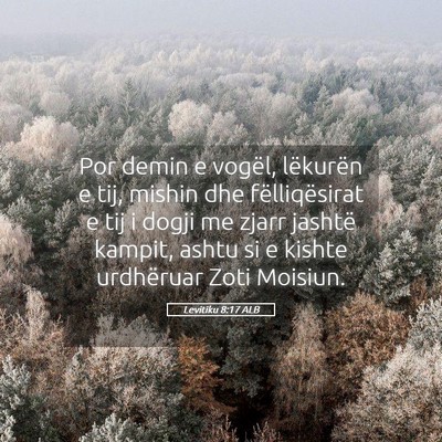 Picture 05 - Levitiku 8:17 ALB - Por demin e vogël, lëkurën e tij, mishin dhe - Bible Verse Picture