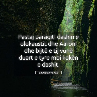 Picture 05 - Levitiku 8:18 ALB - Pastaj paraqiti dashin e olokaustit dhe Aaroni - Bible Verse Picture