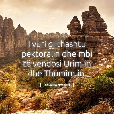 Picture 05 - Levitiku 8:8 ALB - I vuri gjithashtu pektoralin dhe mbi të vendosi - Bible Verse Picture