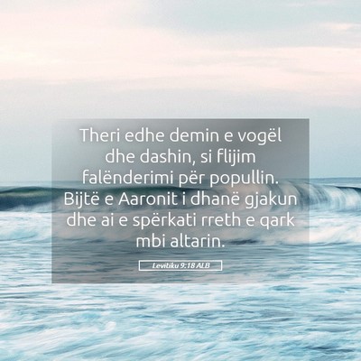 Picture 05 - Levitiku 9:18 ALB - Theri edhe demin e vogël dhe dashin, si flijim - Bible Verse Picture