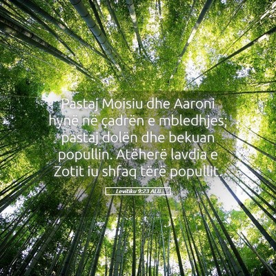 Picture 05 - Levitiku 9:23 ALB - Pastaj Moisiu dhe Aaroni hynë në çadrën e - Bible Verse Picture