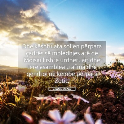 Picture 05 - Levitiku 9:5 ALB - Dhe kështu ata sollën përpara çadrës së - Bible Verse Picture