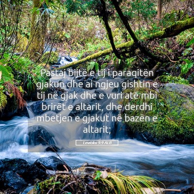 Picture 05 - Levitiku 9:9 ALB - Pastaj bijtë e tij i paraqitën gjakun dhe ai - Bible Verse Picture