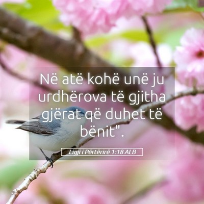 Picture 05 - Ligji i Përtërirë 1:18 ALB - Në atë kohë unë ju urdhërova të gjitha - Bible Verse Picture