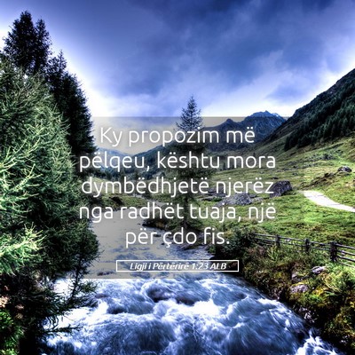 Picture 05 - Ligji i Përtërirë 1:23 ALB - Ky propozim më pëlqeu, kështu mora - Bible Verse Picture