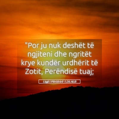 Picture 05 - Ligji i Përtërirë 1:26 ALB - 