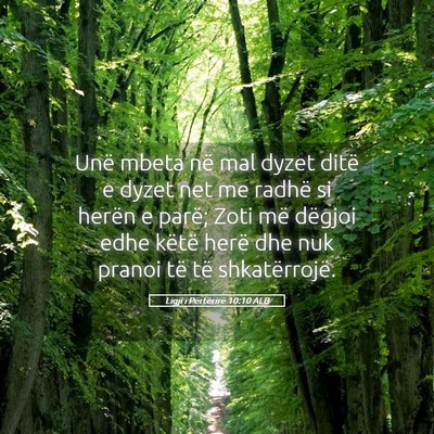 Picture 05 - Ligji i Përtërirë 10:10 ALB - Unë mbeta në mal dyzet ditë e dyzet net me - Bible Verse Picture