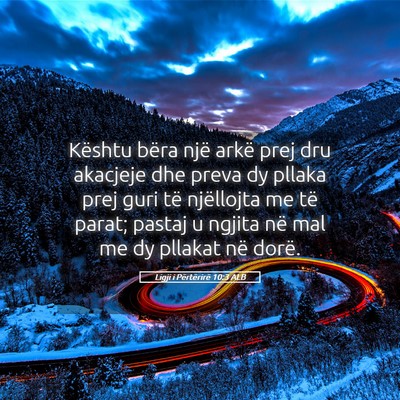 Picture 05 - Ligji i Përtërirë 10:3 ALB - Kështu bëra një arkë prej dru akacjeje dhe - Bible Verse Picture