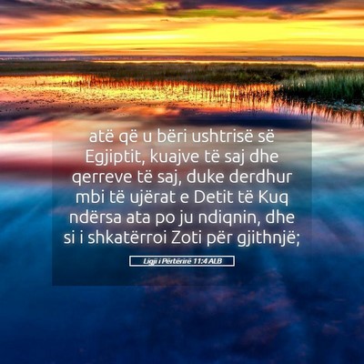 Picture 05 - Ligji i Përtërirë 11:4 ALB - atë që u bëri ushtrisë së Egjiptit, kuajve - Bible Verse Picture