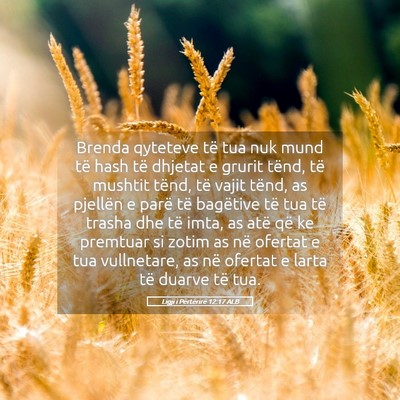 Picture 05 - Ligji i Përtërirë 12:17 ALB - Brenda qyteteve të tua nuk mund të hash të - Bible Verse Picture