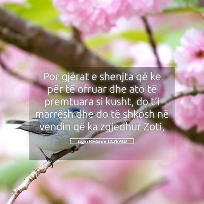 Picture 05 - Ligji i Përtërirë 12:26 ALB - Por gjërat e shenjta që ke për të ofruar dhe - Bible Verse Picture