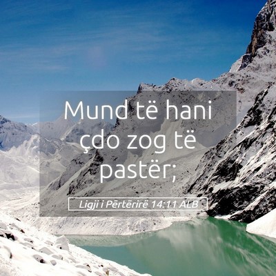 Picture 05 - Ligji i Përtërirë 14:11 ALB - Mund të hani çdo zog të - Bible Verse Picture