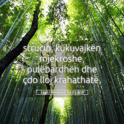Picture 05 - Ligji i Përtërirë 14:15 ALB - strucin, kukuvajkën mjekroshe, pulëbardhën dhe - Bible Verse Picture
