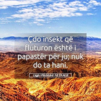 Picture 05 - Ligji i Përtërirë 14:19 ALB - Çdo insekt që fluturon është i papastër për - Bible Verse Picture