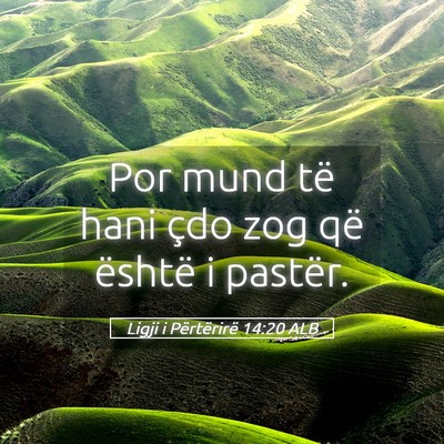 Picture 05 - Ligji i Përtërirë 14:20 ALB - Por mund të hani çdo zog që është i - Bible Verse Picture
